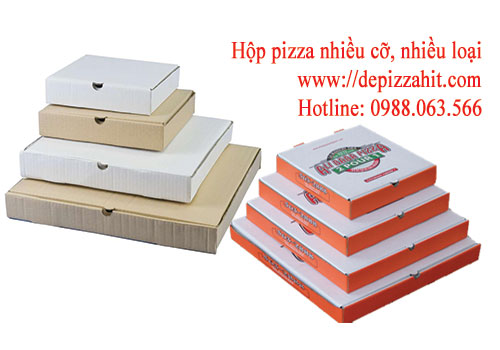 Hộp pizza carton